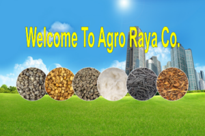 Wellcome to Agro Raya Co - 01