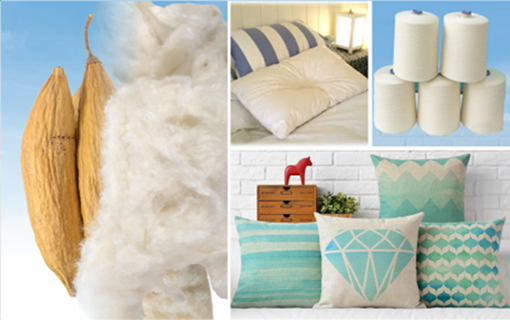 Kapok fiber - www.agro-raya.com (png).02