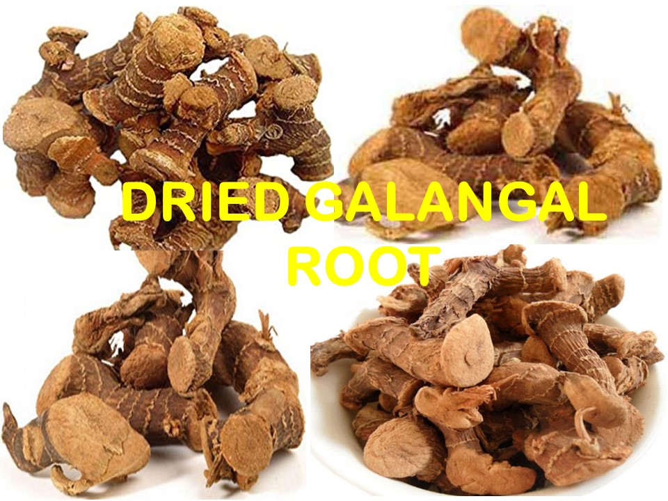 DRIED GALANGAL ROOT - AGRO RAYA 01