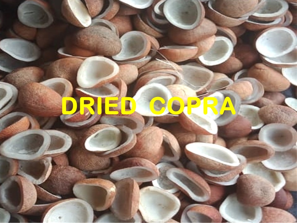 DRIED COPRA - 01