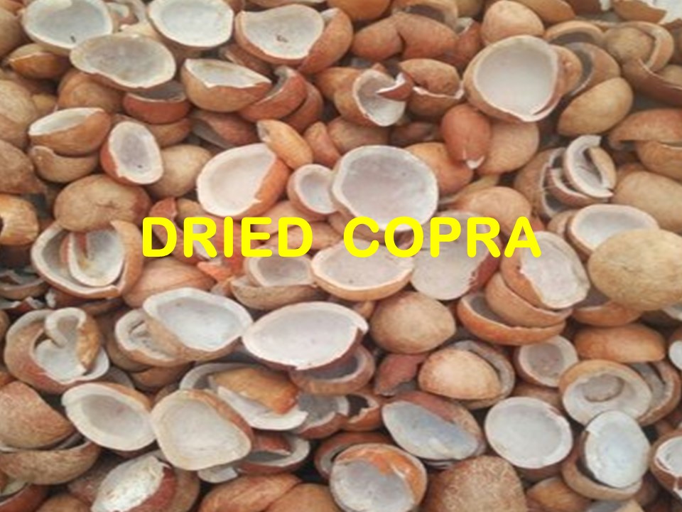 DRIED COPRA - 02