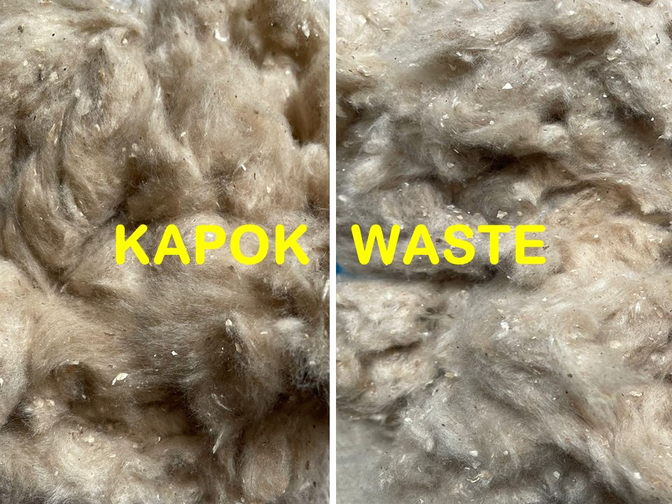 KAPOK WASTE - PHOTO 3