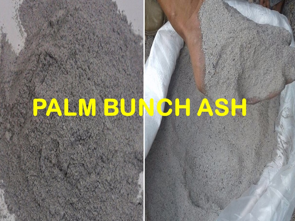 PALM BUNCH ASH - PHOTO 01