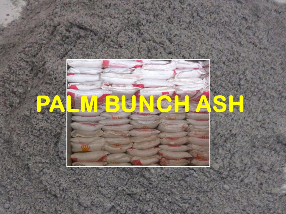 PALM BUNCH ASH - PHOTO 02.A