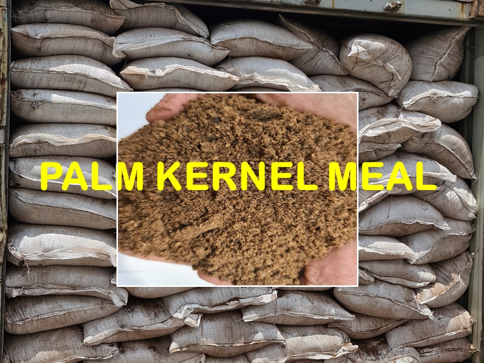 PALM KERNEL MEAL - PHOTO 1