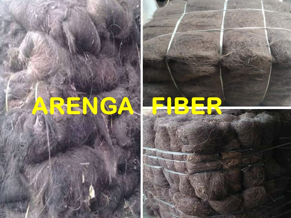 ARENGA FIBRE - 02 - OK