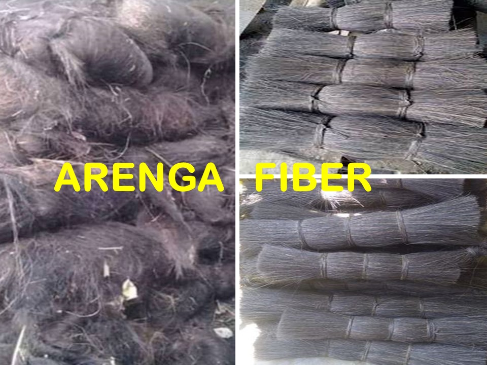 ARENGA FIBRE - 03 - OK