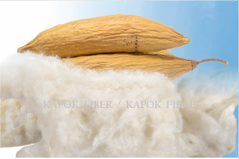 KAPOK FIBER - KAPOK FIBRE - SUPPLIER & EXPORTER. 02