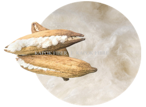 Kapok Fiber - Kapok Fibre - Supllier Indonesia - www.agro-raya.com .A.A.