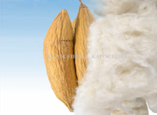 Kapok Fiber - Kapok Fibre - Supllier Indonesia - www.agro-raya.com .A.B.