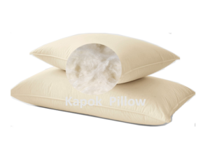 Kapok Pillow - Supllier - www.agro-raya.com .3.AA.
