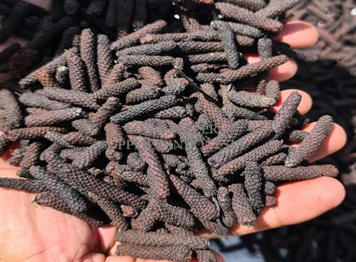 Long Pepper - Supplier Indonesia - www.agro-raya.com .2.