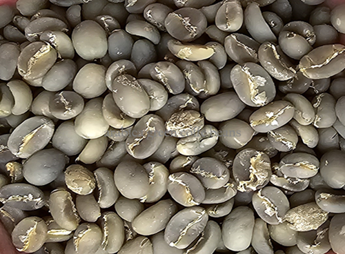 Arabica Green Coffee Beans by Agro Raya Co .1