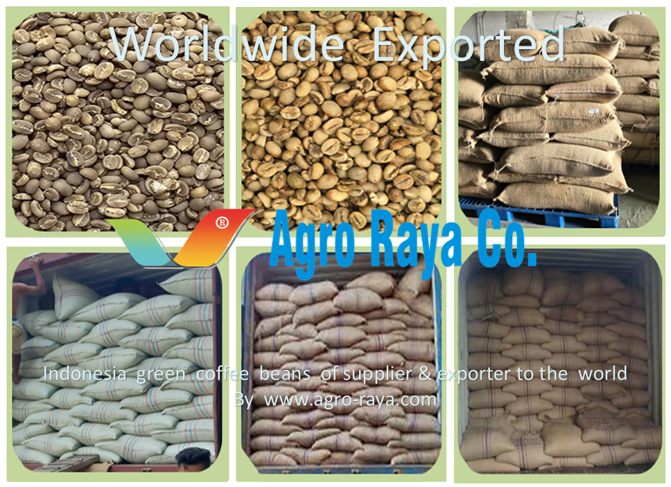 INDONESIA GREEN COFFEE BEANS SUPPLIER & EXPORTER. 01. WWW.AGRO-RAYA.COM