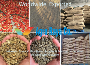INDONESIA GREEN COFFEE BEANS SUPPLIER & EXPORTER - 001.C