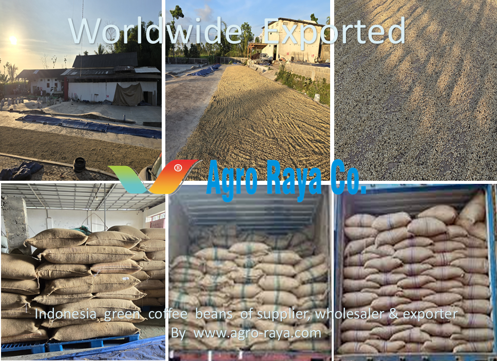 INDONESIA GREEN COFFEE BEANS SUPPLIER & EXPORTER - 003.A2