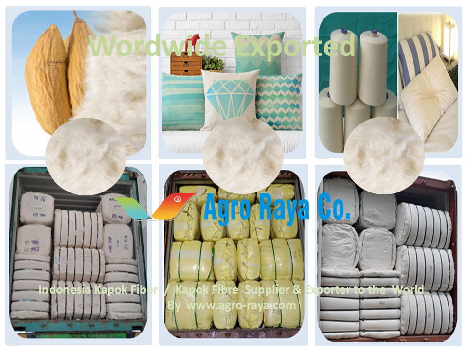 Kapok Fiber Supllier Indonesia - 02