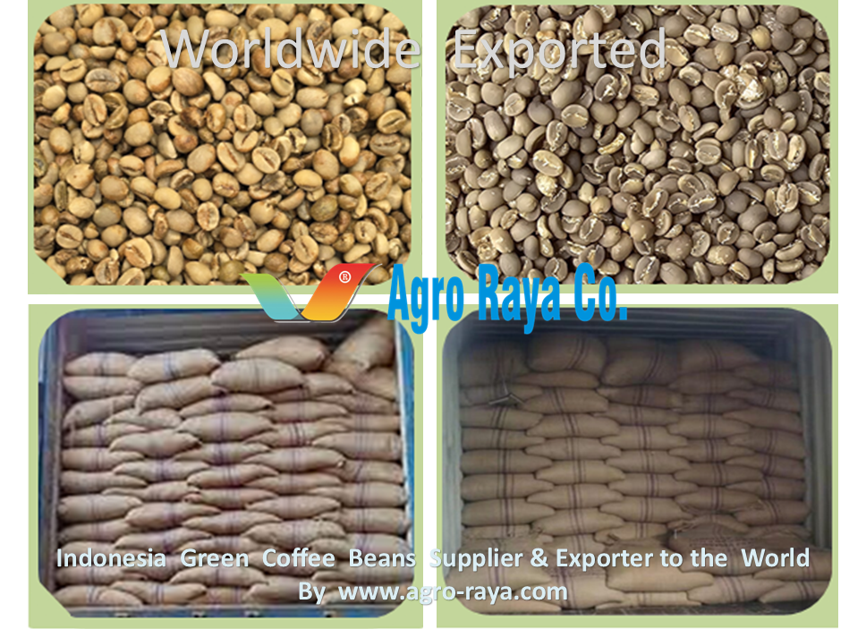 RAW UNROASTED COFFEE INDONESIA SUPPLIER. 02.AAA