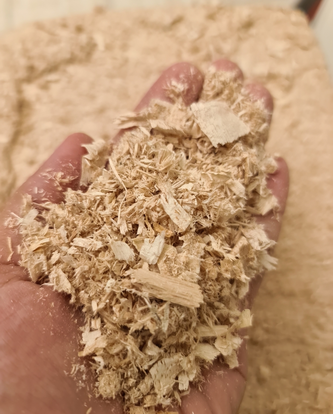 WOOD SHAVINGS BLOCK - RAW 1
