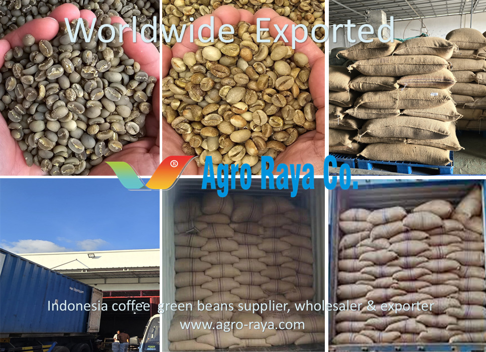 Agro Raya Co I Coffee Supplier Exporter From Indonesia .1