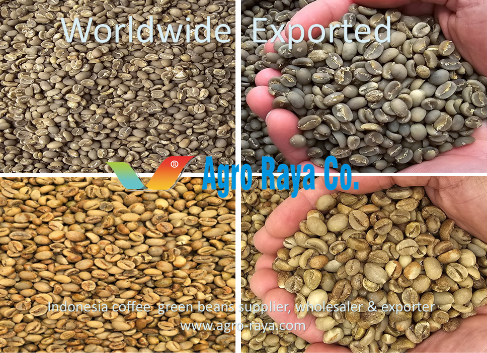 Agro Raya Co I Coffee Supplier Exporter From Indonesia .2
