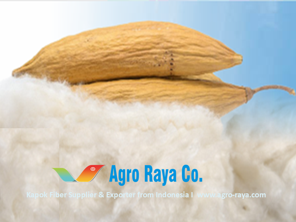 Agro Raya Co I Kapok Fiber Supplier I Indonesia Exporter .1