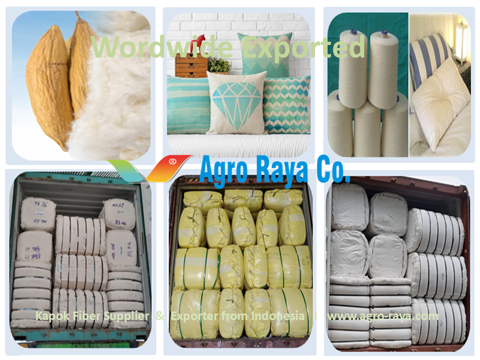 Agro Raya Co I Kapok Fiber Supplier I Indonesia Exporter .2