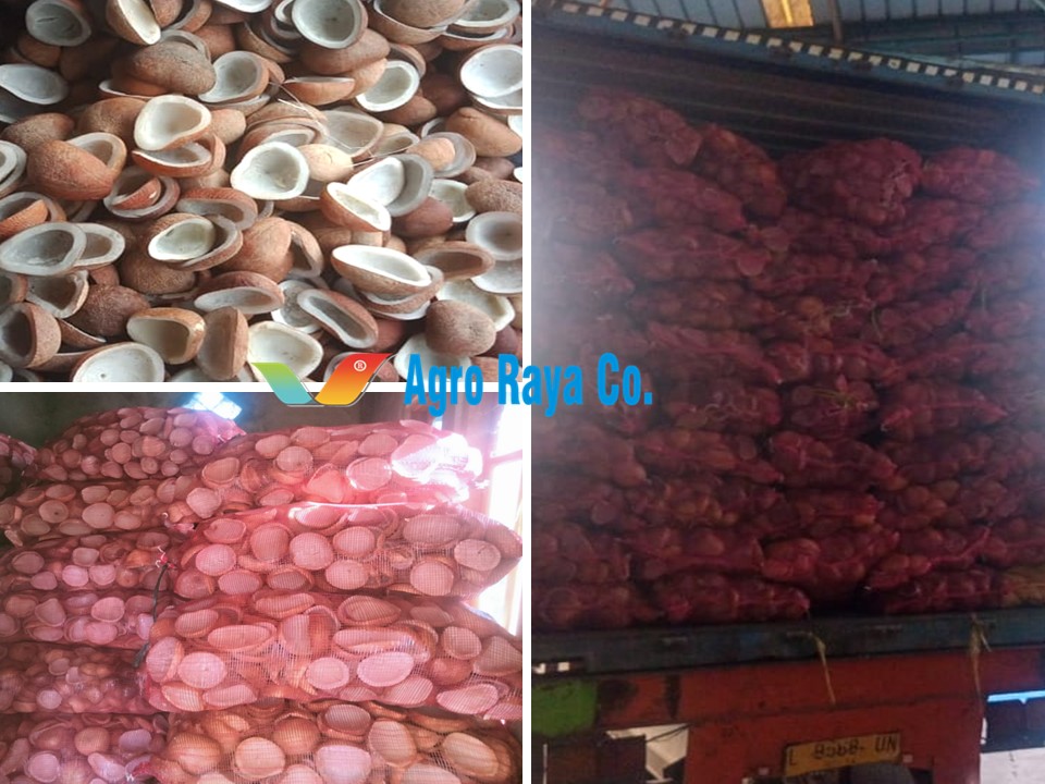 DRY COPRA I DRIED COCONUT COPRA I SUPPLIER I EXPORTER I INDONESIA