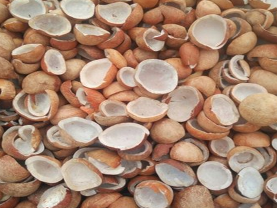 DRY COPRA I DRIED COCONUT COPRA I SUPPLIER I WHOLESALER I PRODUCER I EXPORTER I INDONESIA I NO.1