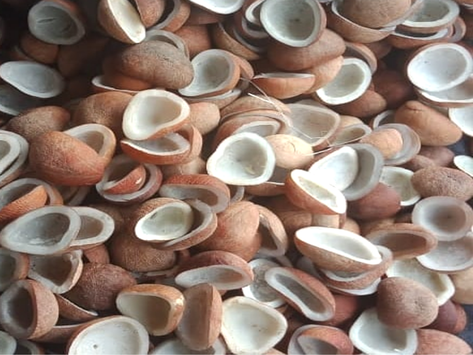 DRY COPRA I DRIED COCONUT COPRA I SUPPLIER I WHOLESALER I PRODUCER I EXPORTER I INDONESIA