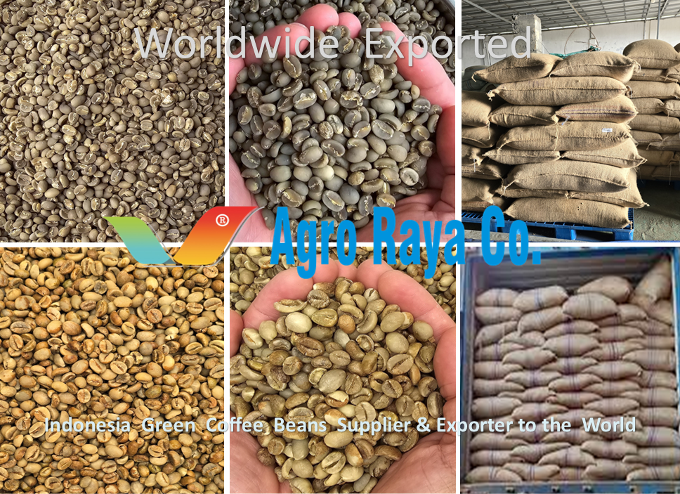 Specialty & Premium Coffee I Indonesia Coffee Supplier